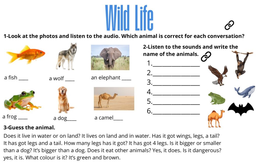 Wild Life