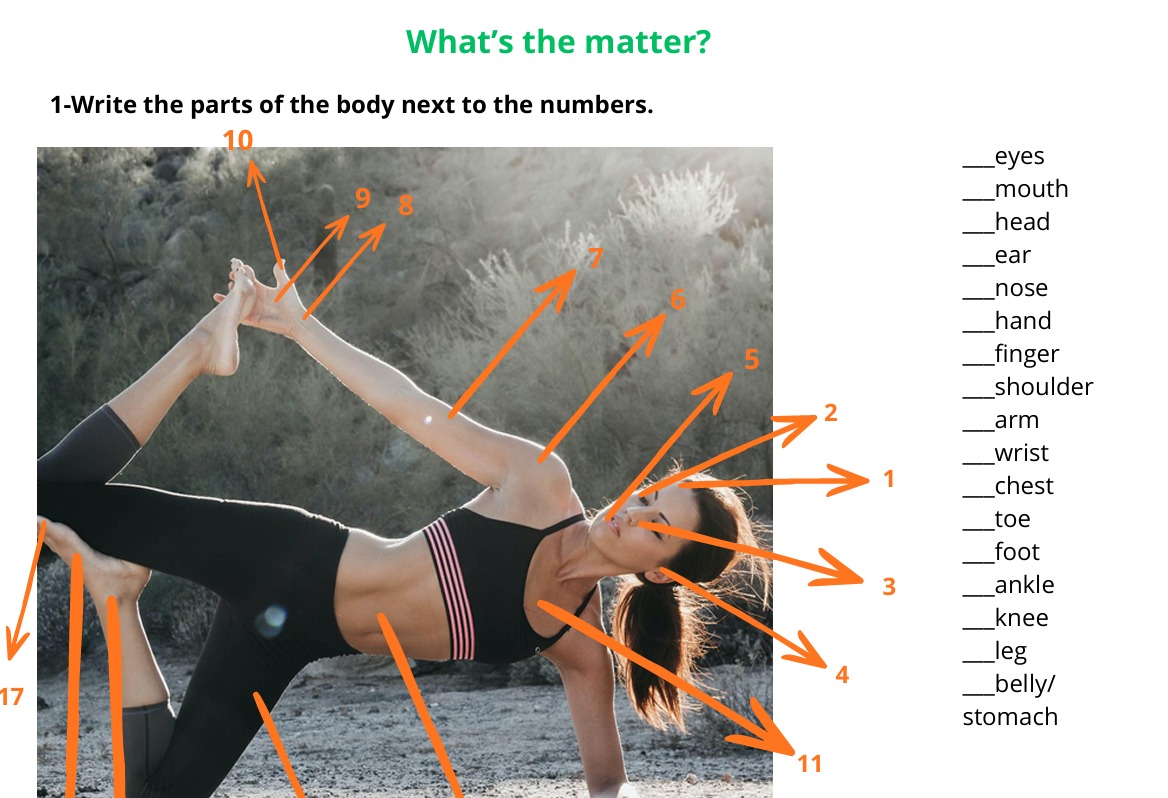 Booklet Year 3 - Imagen 4