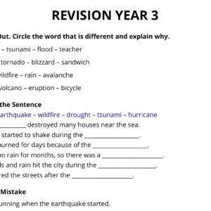 Revision year 3